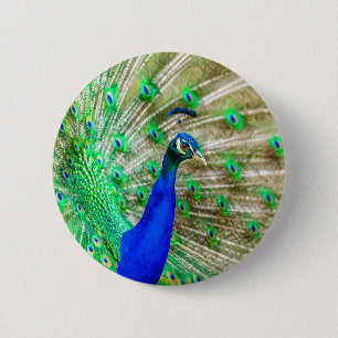 Chapa Redonda De 5 Cm Desplome de pavo real