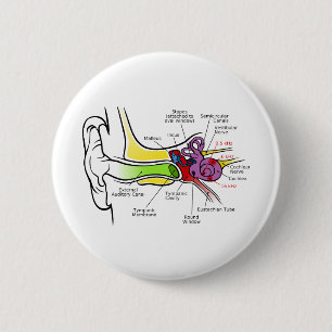 Chapa Redonda De 5 Cm Diagrama del oído humano con asignación de frecuen
