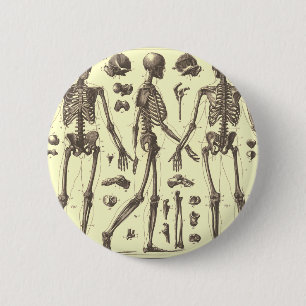 Chapa Redonda De 5 Cm Diagramas del esqueleto del vintage