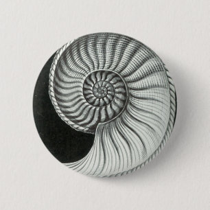Chapa Redonda De 5 Cm Dibujo de lápiz hermoso de la amonita de Amaltheu