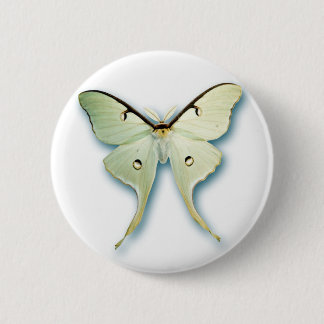 Chapa Redonda De 5 Cm Diseño blanco bonito de la mariposa