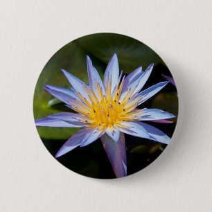 Chapa Redonda De 5 Cm Diseño Botánico Floral de Nenúfar Tropical
