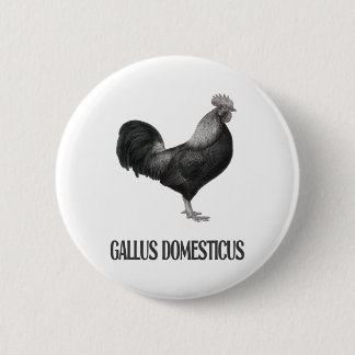Chapa Redonda De 5 Cm Diseño de aves de corral de pollo _1