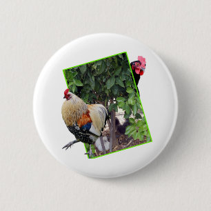 Chapa Redonda De 5 Cm Diseño de pollo Peekaboo,