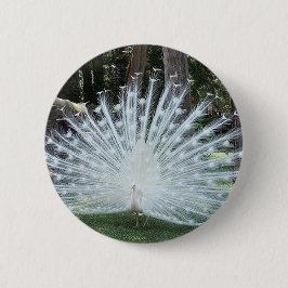 Chapa Redonda De 5 Cm Diversión superior de Skully