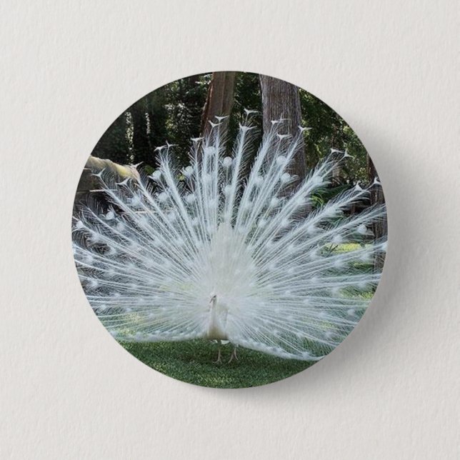 Chapa Redonda De 5 Cm Diversión superior de Skully (Anverso)