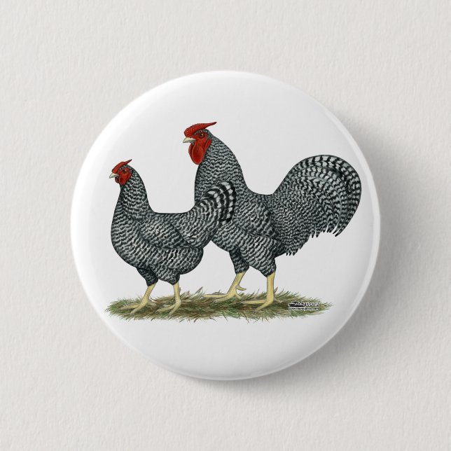 Chapa Redonda De 5 Cm Dominique Chickens (Anverso)