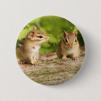Chapa Redonda De 5 Cm Dos bebés lindos del Chipmunk