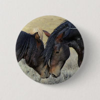 Dos caballos salvajes marrones desconcertando
