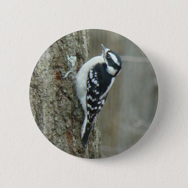Chapa Redonda De 5 Cm Downy Woodpecker Items (Anverso)