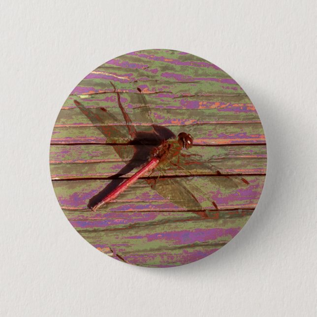 Chapa Redonda De 5 Cm Dragonfly Colorful (Anverso)