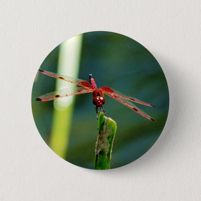 Chapa Redonda De 5 Cm Dragonfly Frontal Rojo y Negro (Anverso)