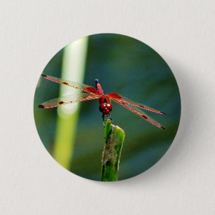 Chapa Redonda De 5 Cm Dragonfly Frontal Rojo y Negro