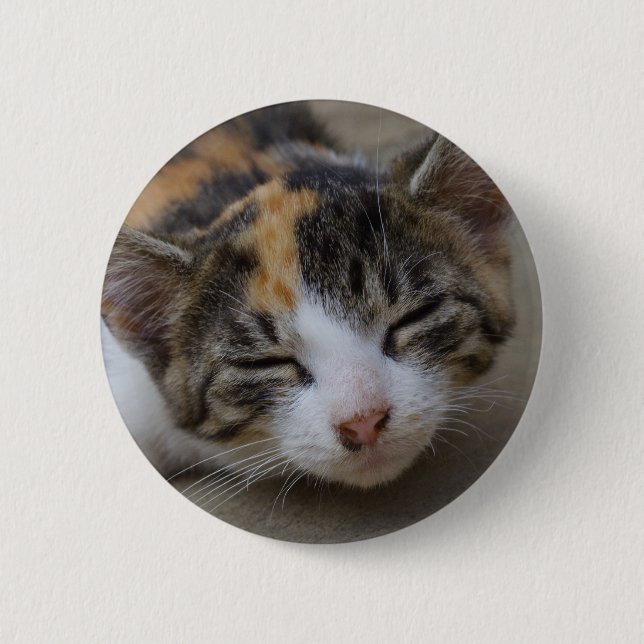 Chapa Redonda De 5 Cm Drowsing Calico Kitten (Anverso)