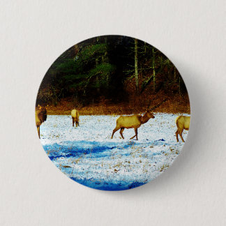 CHAPA REDONDA DE 5 CM DSC00131.JPG