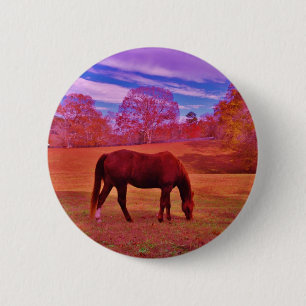 CHAPA REDONDA DE 5 CM DSCF0536.JPG