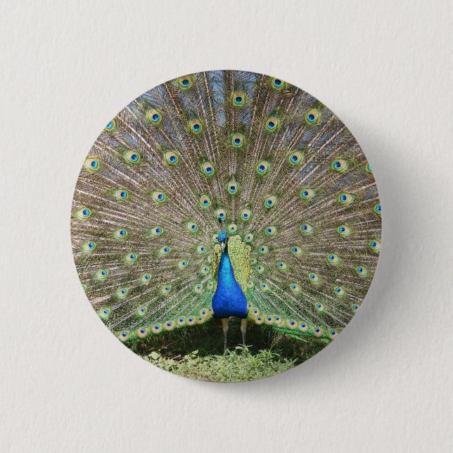 CHAPA REDONDA DE 5 CM DSCF1062 (Anverso)