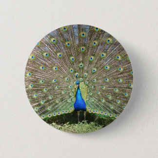 CHAPA REDONDA DE 5 CM DSCF1062