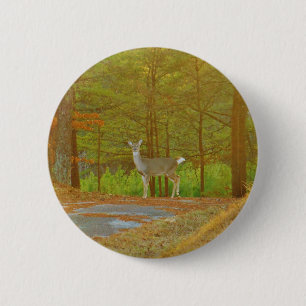 CHAPA REDONDA DE 5 CM DSCF4041.JPG