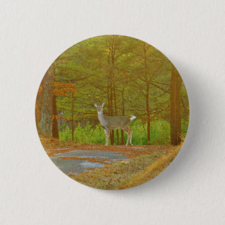 CHAPA REDONDA DE 5 CM DSCF4041.JPG