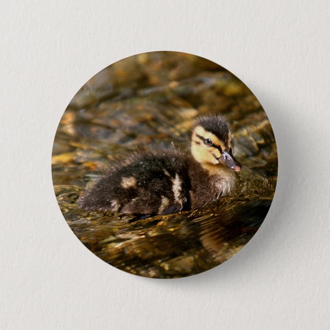 Chapa Redonda De 5 Cm Duckling (Anverso)