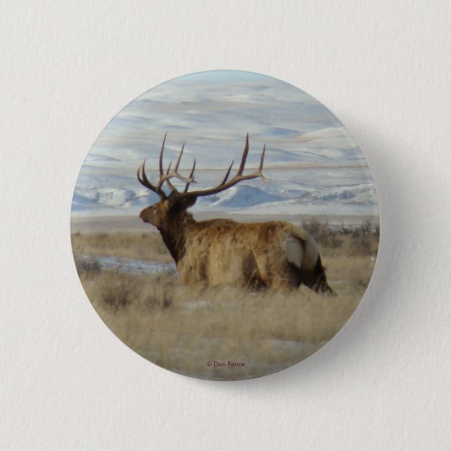 Chapa Redonda De 5 Cm E22 Alce toro y colinas nevadas (Anverso)