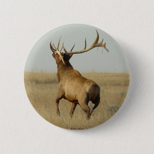 Chapa Redonda De 5 Cm E23 Grasa de alce de toro en bocinas