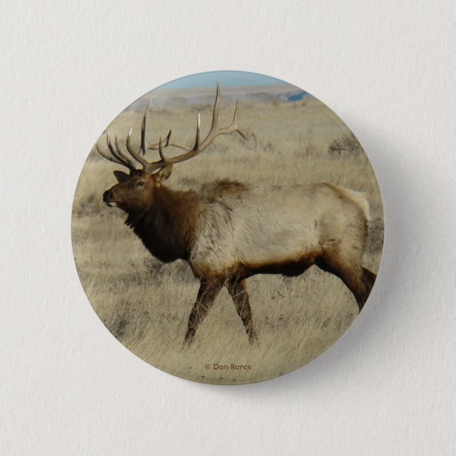 Chapa Redonda De 5 Cm E55 Toro Elk (Anverso)