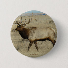 Chapa Redonda De 5 Cm E55 Toro Elk