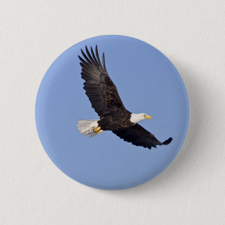 Chapa Redonda De 5 Cm Eagle calvo americano