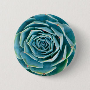 Chapa Redonda De 5 Cm Echeveria Roseta, Jardín Secreto de Marrakech