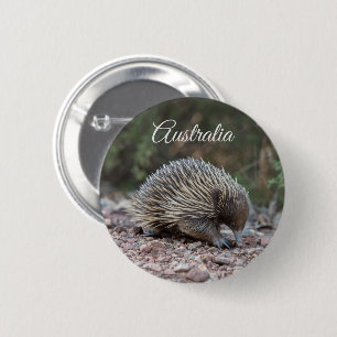 Chapa Redonda De 5 Cm Echidna, teatros espinosos, Australia