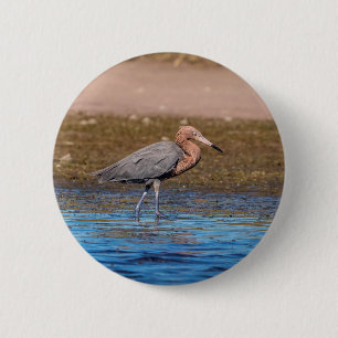 Chapa Redonda De 5 Cm Egret Reddish en North Beach