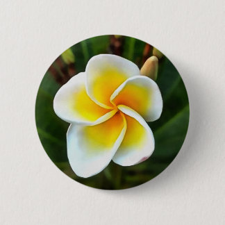 Chapa Redonda De 5 Cm El arte del realismo de la flor de un solo frangip