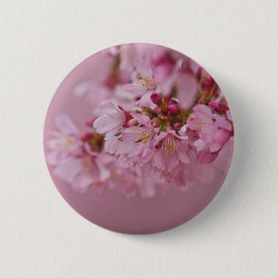Chapa Redonda De 5 Cm El cerezo sakura florece con reflexiones rosa páli