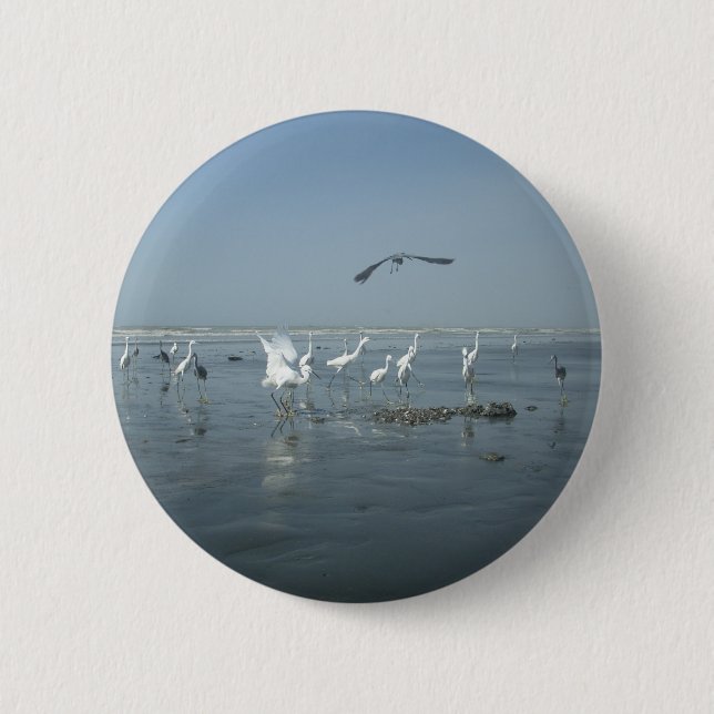 Chapa Redonda De 5 Cm El cuervo negro y las grullas blancas: un contrast (Anverso)