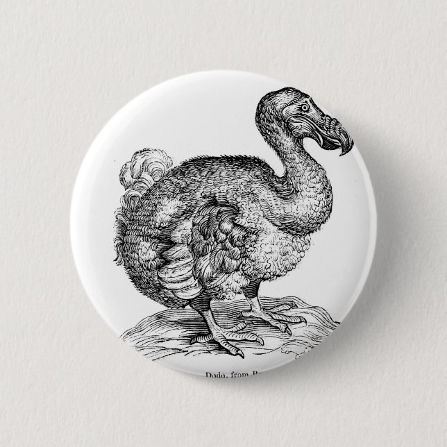 Chapa Redonda De 5 Cm El Dodo (Anverso)