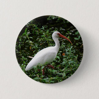 Chapa Redonda De 5 Cm El Ibis blanco…