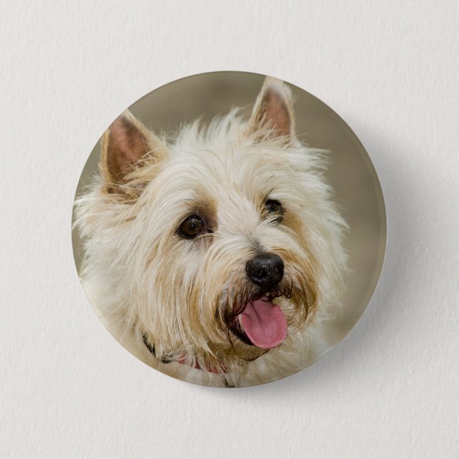 Chapa Redonda De 5 Cm El jengibre sonríe perno (Anverso)