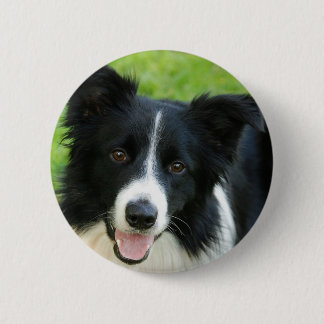 Chapa Redonda De 5 Cm El perro del border collie añade al mascota del
