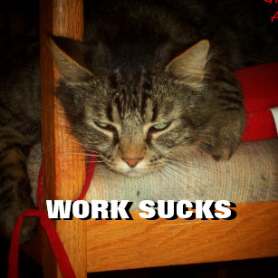 Chapas Gato Triste Zazzle Es