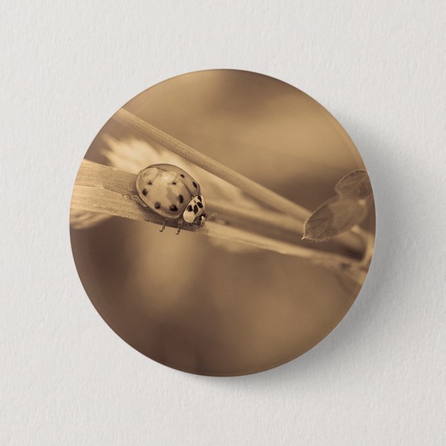 Chapa Redonda De 5 Cm el un verano (Anverso)