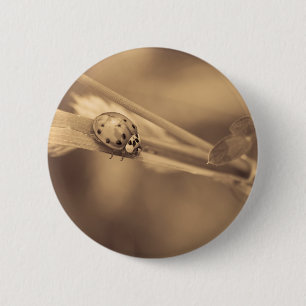 Chapa Redonda De 5 Cm el un verano