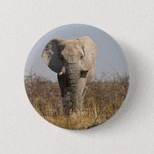 Chapa Redonda De 5 Cm Elefante