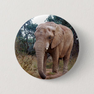 Chapa Redonda De 5 Cm Elefante africano en el arbusto