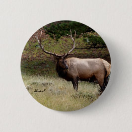 Chapa Redonda De 5 Cm Elk in the Wild