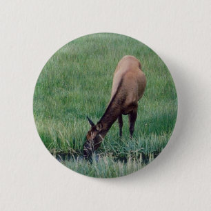 Chapa Redonda De 5 Cm Elk-Yellowstone