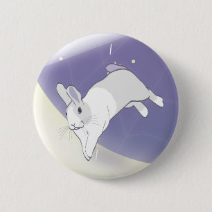 CHAPA REDONDA DE 5 CM EN JUEGO EN LOS COSMOS