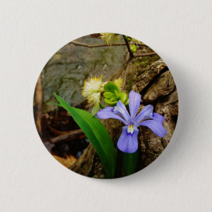 Chapa Redonda De 5 Cm Enanos enanos Iris flor azul morada blanca