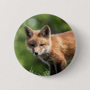 Chapa Redonda De 5 Cm Equipo del Fox rojo